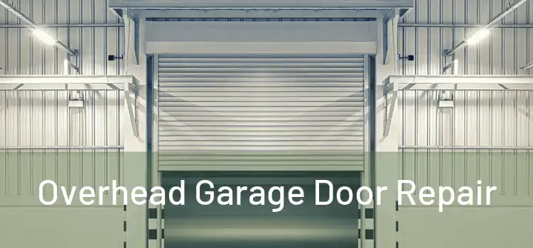  Overhead Garage Door Repair 